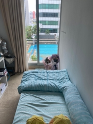 Sunshine Plaza (D7), Apartment #267564281